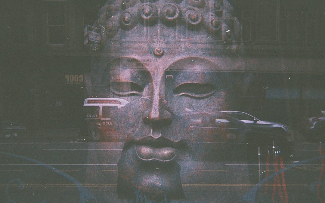 UNIQUE PHOTOGRAPHY PROJECT IN NEWCASTLE CHANGES NEGATIVES TO POSITIVES